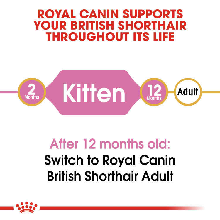 Royal Canin British Shorthair Kitten 2 KG