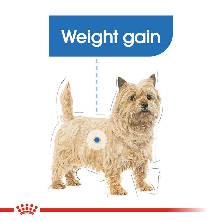 Royal Canin Mini Light Weight Care 3 KG