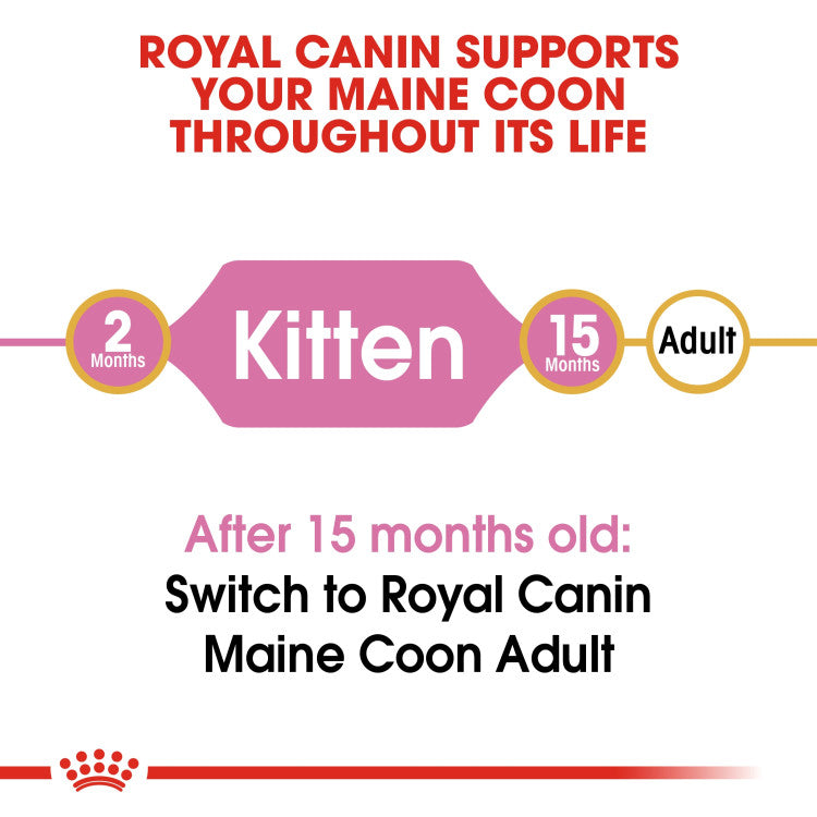 Royal Canin Maine Coon Kitten 2 KG