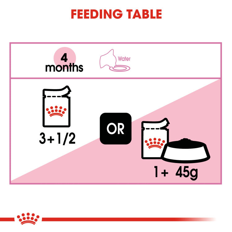 Royal Canin Kitten Jelly (WET FOOD - Pouches)