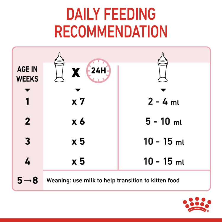 Royal Canin Babycat Milk 300 g