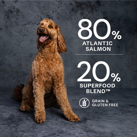 AATU Free Run Salmon Dry Dog Food