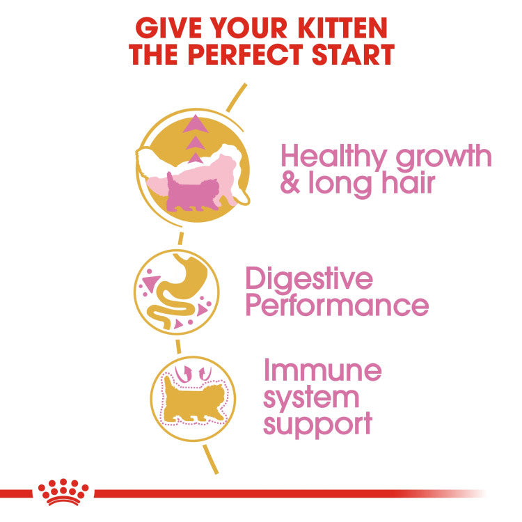 Royal Canin Persian Kitten 2 KG