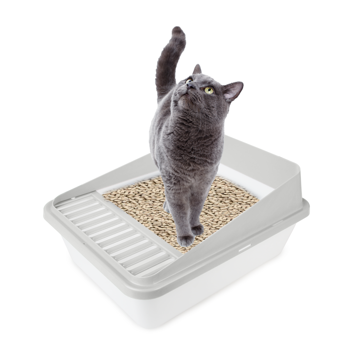 Go Fresh - High Back Cat Litter Box Small