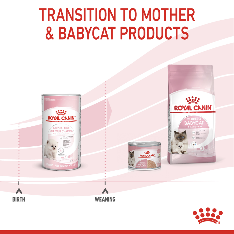 Royal Canin Babycat Milk 300 g - 0