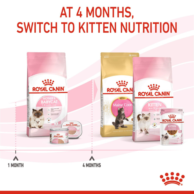 Royal Canin Mother & Babycat