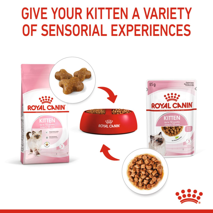 Royal Canin Kitten Gravy (WET FOOD - Pouches)