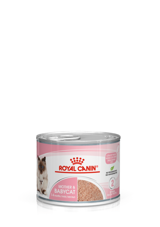 Royal Canine Mother & Babycat Mousse (WET FOOD - Cans)