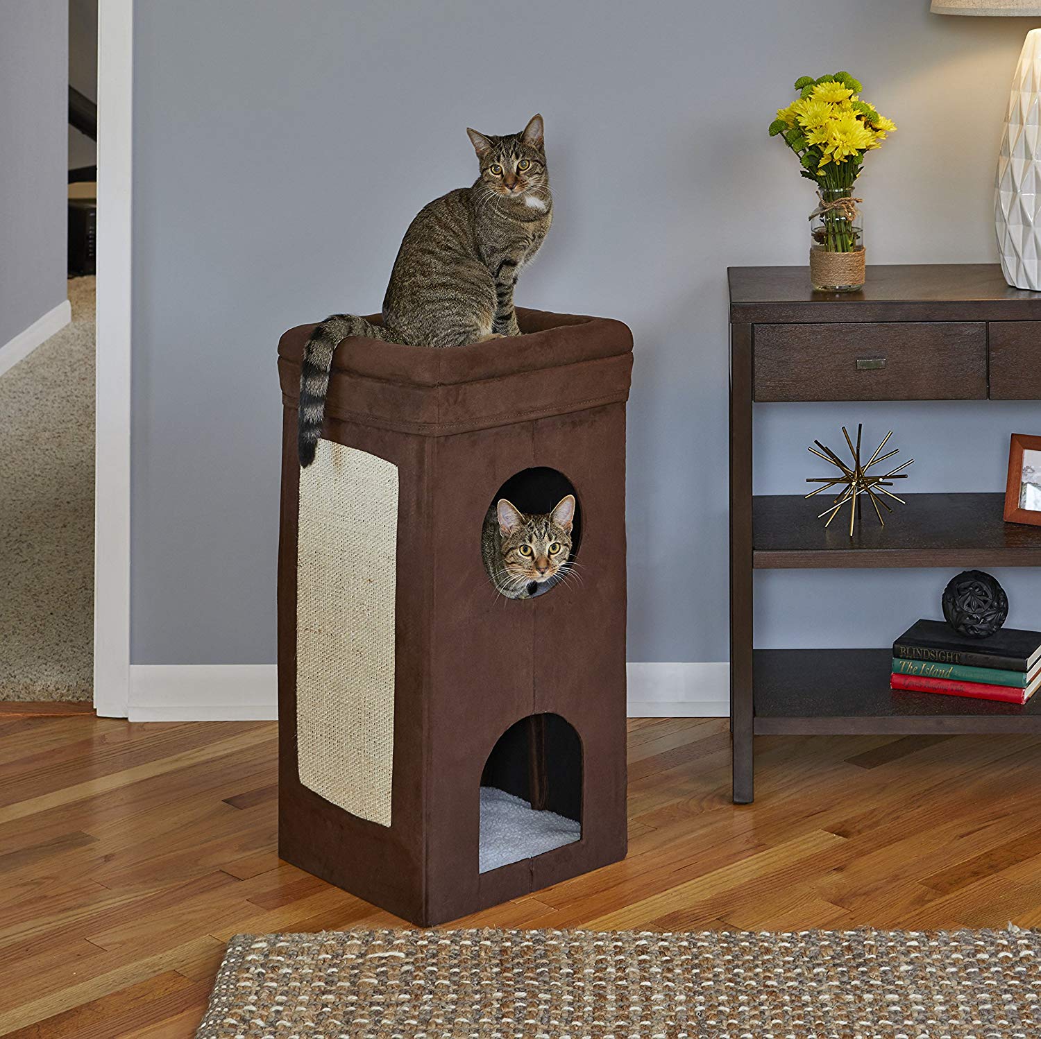 Curious Cat Condo