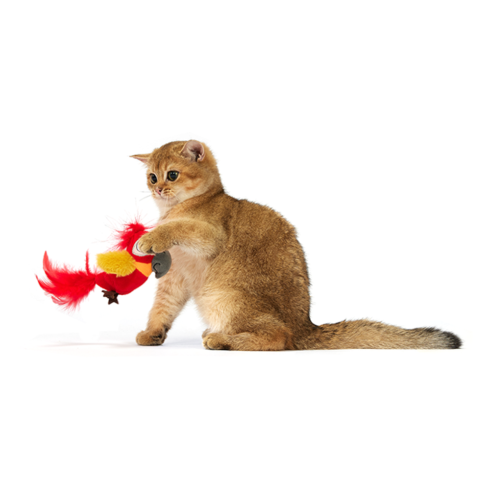 FOFOS Sound Chip Parrot With Catnip Balls Cat Toy