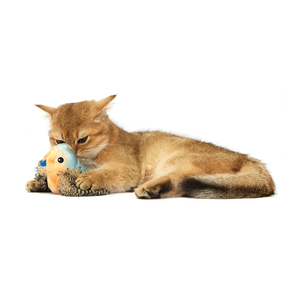 FOFOs Sound Chip Blue Bird With Catnip Balls Cat Toy