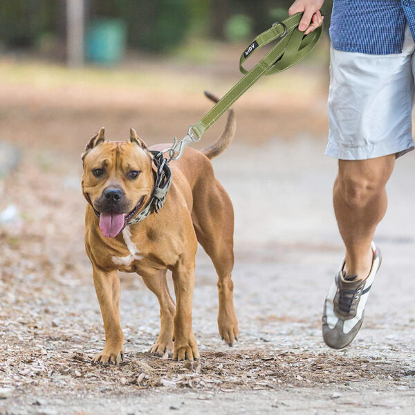 Fida Heavy Duty Dog Leash  Yellow