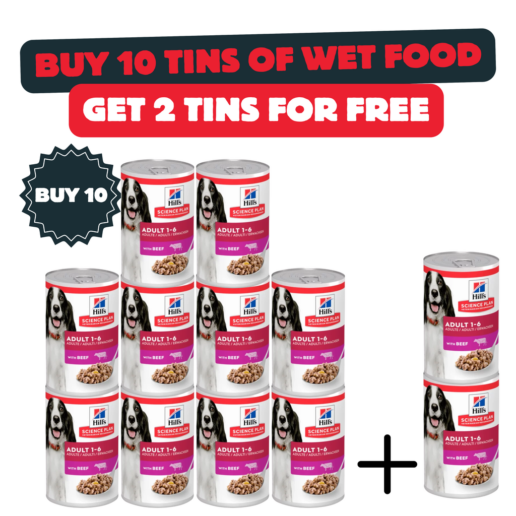 Buy 10 Cans Of Hill’s Science Plan Adult Dog Food with Beef And Get 2 Cans For Free
