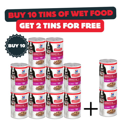 Buy 10 Cans Of Hill’s Science Plan Adult Dog Food with Beef And Get 2 Cans For Free