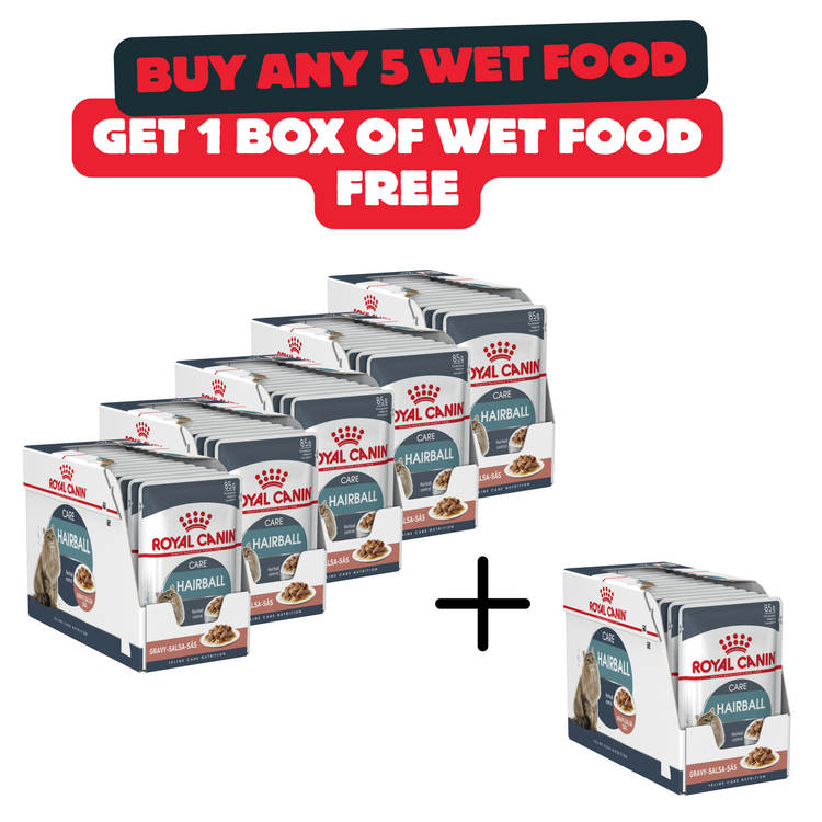 Buy 5 Boxes Of Royal Canin Hair Care Food And Get 1 Box For Free