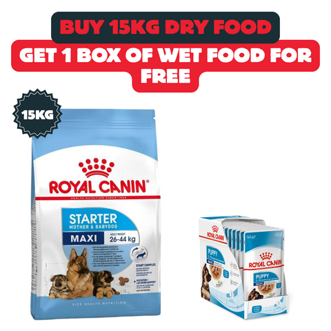 Buy 15Kg Maxi Starter And Get 1 Box Of Wet Food For Free