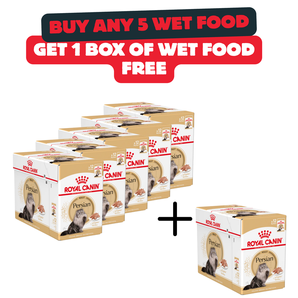 Buy 5 Boxes Of Royal Canin Persian Food And Get 1 Box For Free