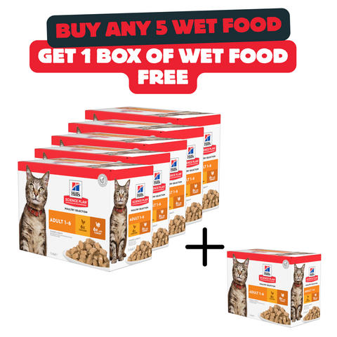 Buy 5 Boxes Of Hill’s Science Plan Adult Wet Cat Food Chicken Pouches Food And Get 1 Box For Free