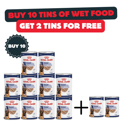 Buy 10 Tins/Cans Of Maxi Adult Wet Food And get 2 Cans For Free