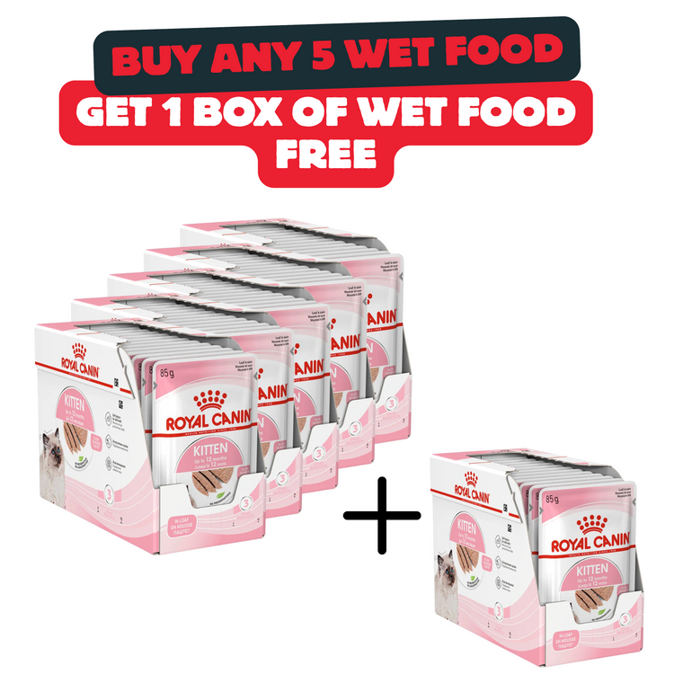 Buy 5 Boxes Of Royal Canin Kitten Wet Food And Get 1 Box For Free