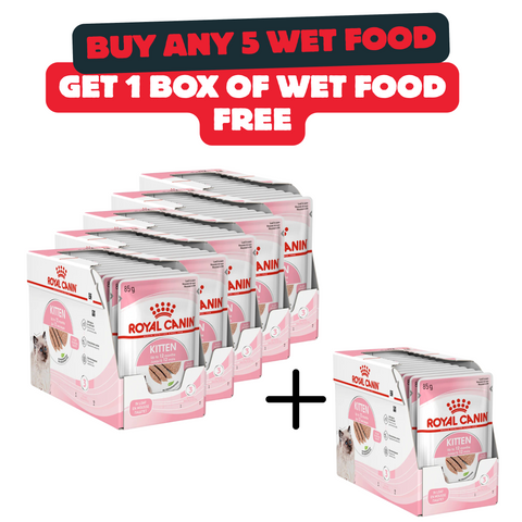 Buy 5 Boxes Of Royal Canin Kitten Wet Food And Get 1 Box For Free