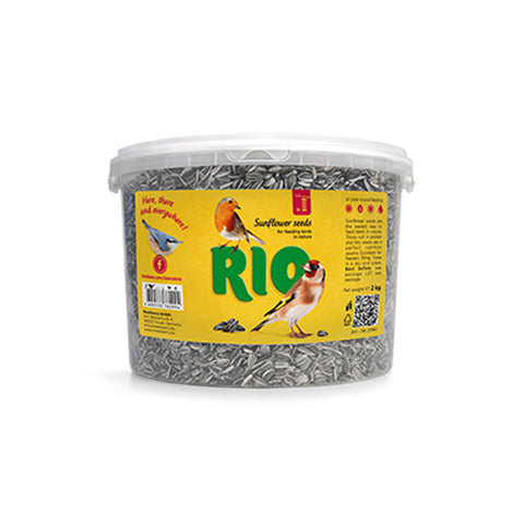 RIO Sunflower seeds 2kg