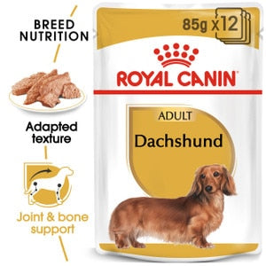 Royal Canin Dachshund Adult (WET FOOD - Pouches) 12 x 85g