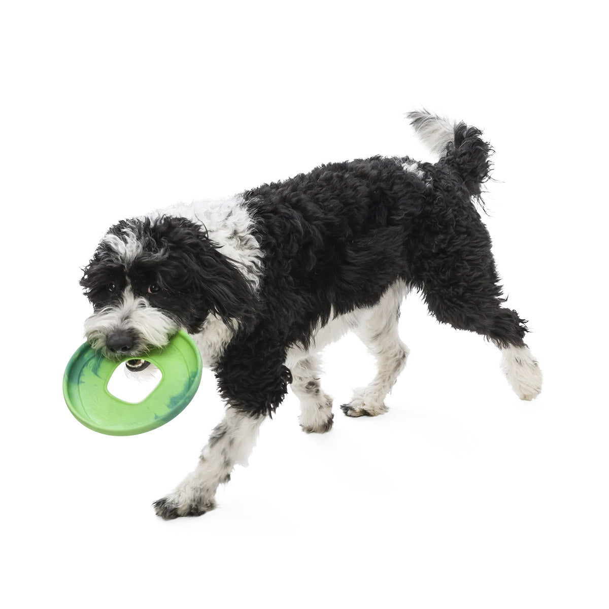 Sailz Seaflex Frisbee Disc Dog Toy - 0