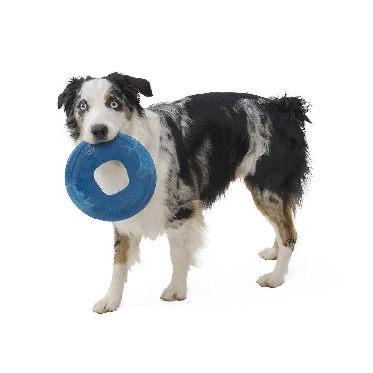 Sailz Seaflex Frisbee Disc Dog Toy