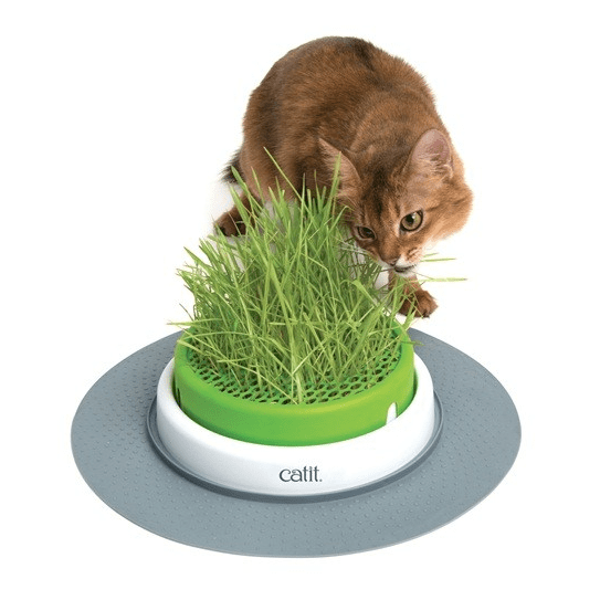 Grass Planter