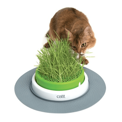 Grass Planter