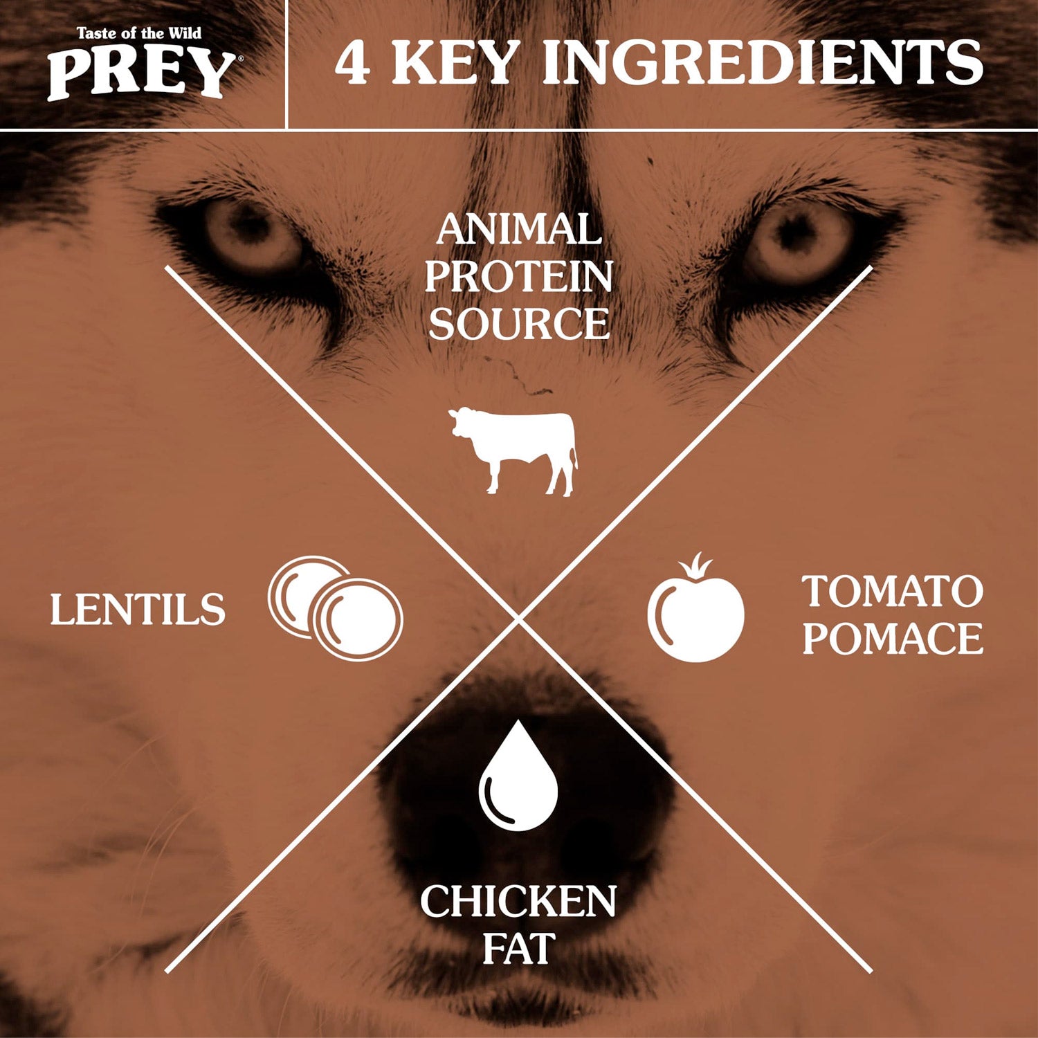 PREY Angus Beef Limited Ingredient Formula