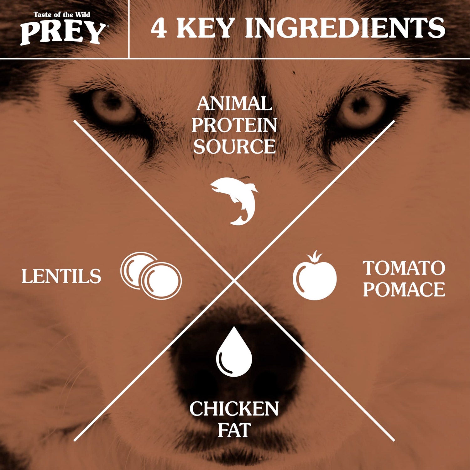 dogs PREY Trout Limited Ingredient Formula For