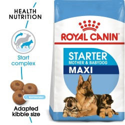 Royal Canin Maxi Starter - 4 KG