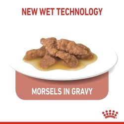 Royal Canin Indoor 7+ (Wet Food - Pouches) 12 x 85 g