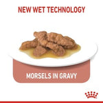 Royal Canin Indoor 7+ (Wet Food - Pouches) 12 x 85 g