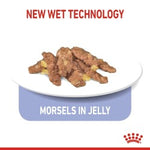 Royal Canin Indoor 7+ Jelly (Wet Food - Pouches) 12 x 85 g