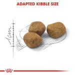 Royal Canin Indoor 7+ Years