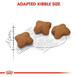 Royal Canin Kitten Sterilised 2 kg