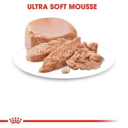 Royal Canin Mother & Babycat Mousse (Wet Food - Cans) 12 x 195 g