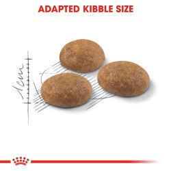 Royal Canin Outdoor 2 kg