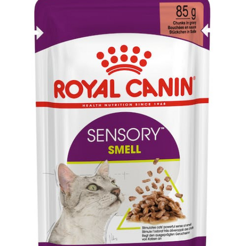 Royal Canin Sensory Smell Gravy (Wet Food - Pouches) 12 x 85 g
