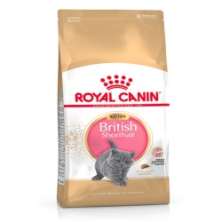 Royal Canin British Shorthair Kitten 2 kg