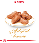 Royal Canin Maine Coon (Wet Food - Pouches) 12 x 85 g
