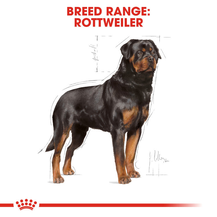 Royal Canin Rottweiler Adult 12 KG