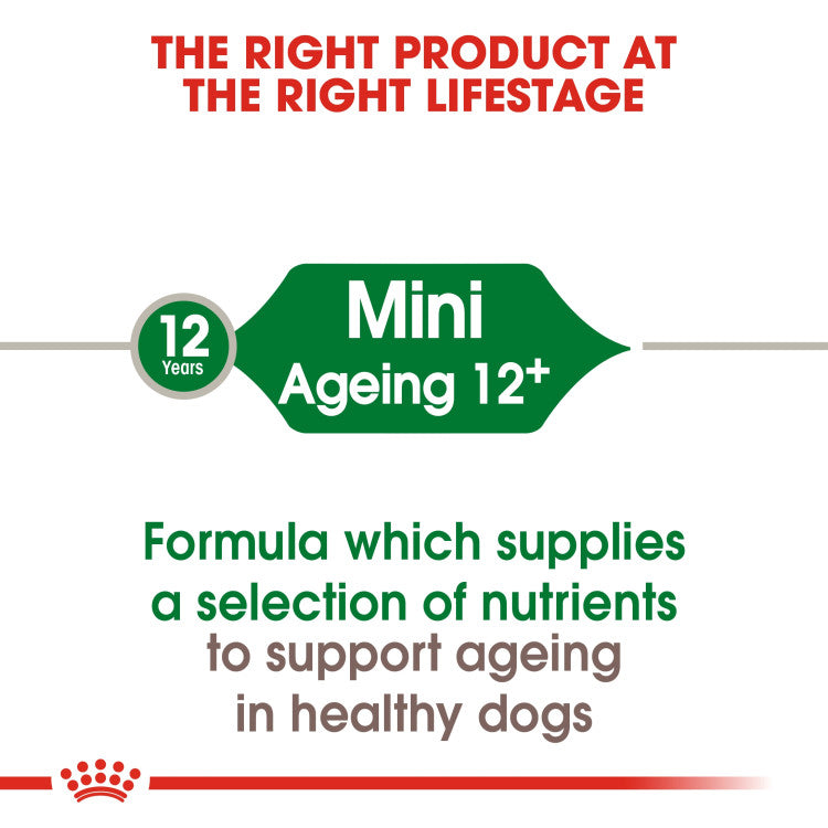 Royal Canin Mini Ageing 12+ 1.5 KG - 0