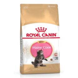 Royal Canin Maine Coon Kitten 2 kg