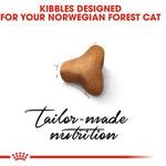 Royal Canin Norwegian Forest Cat Adult 2 kg