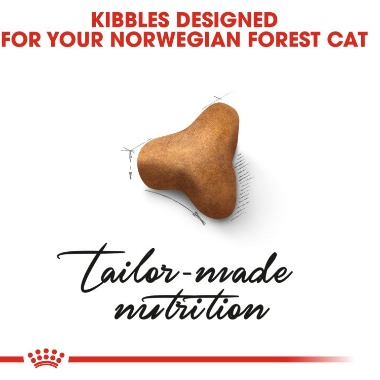 Royal Canin Norwegian Forest Cat Adult 2 kg