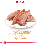 Royal Canin Persian (Wet Food - Pouches) 12 x 85 g